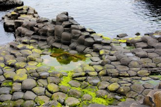 Irlande (Connemara + Galway + Belfast) 169