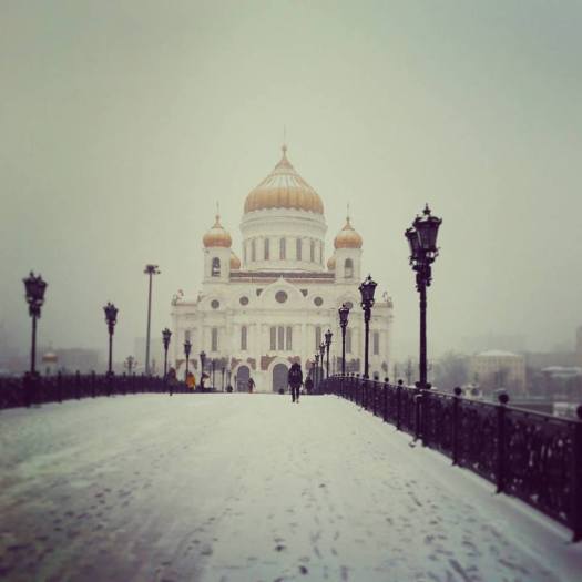 1186273_442021049337623_6512768890630936917_n